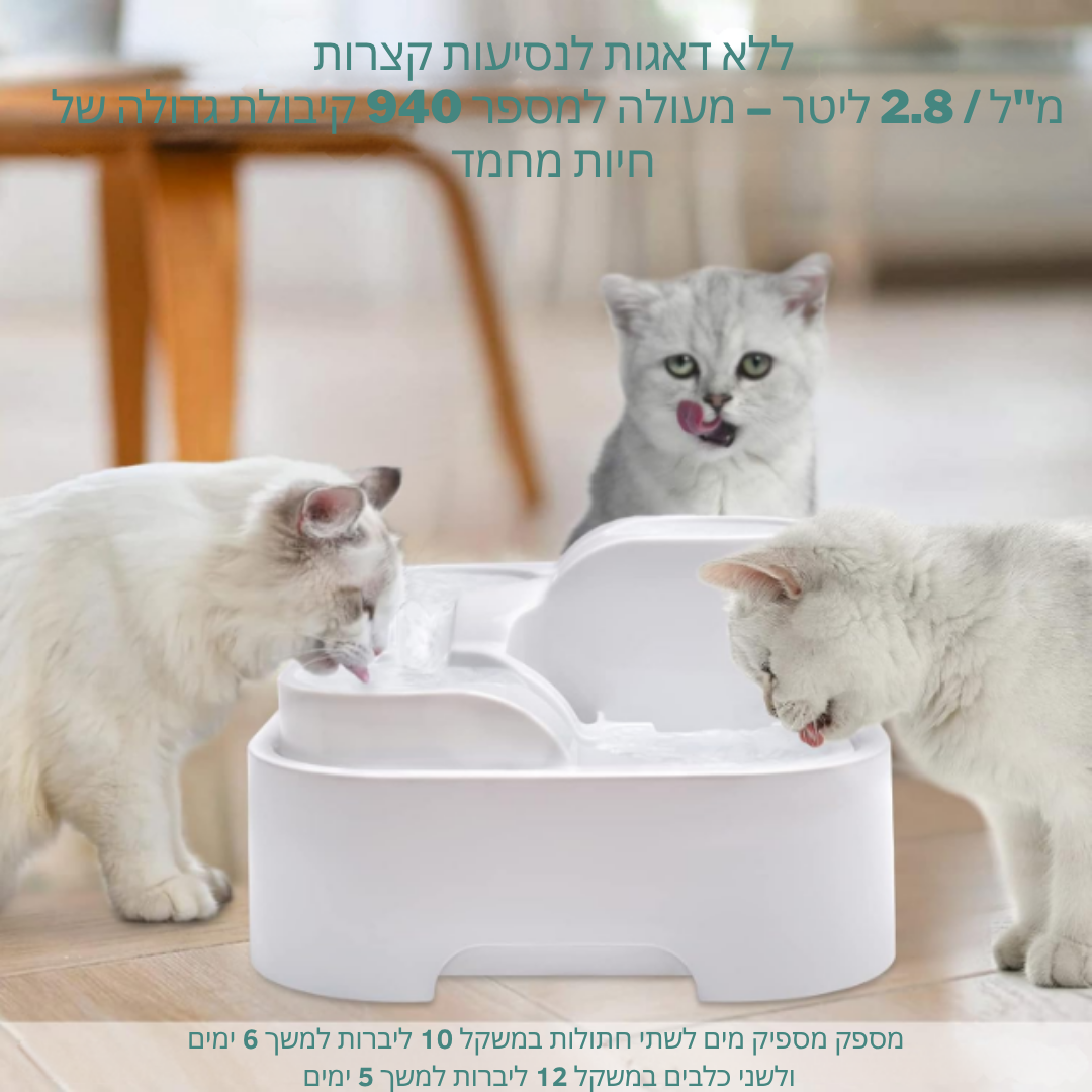 ™Mewara | מזרקת מים לחתולים 2 ליטר, שקטה במיוחד, תאורת LED, מסנן פחם