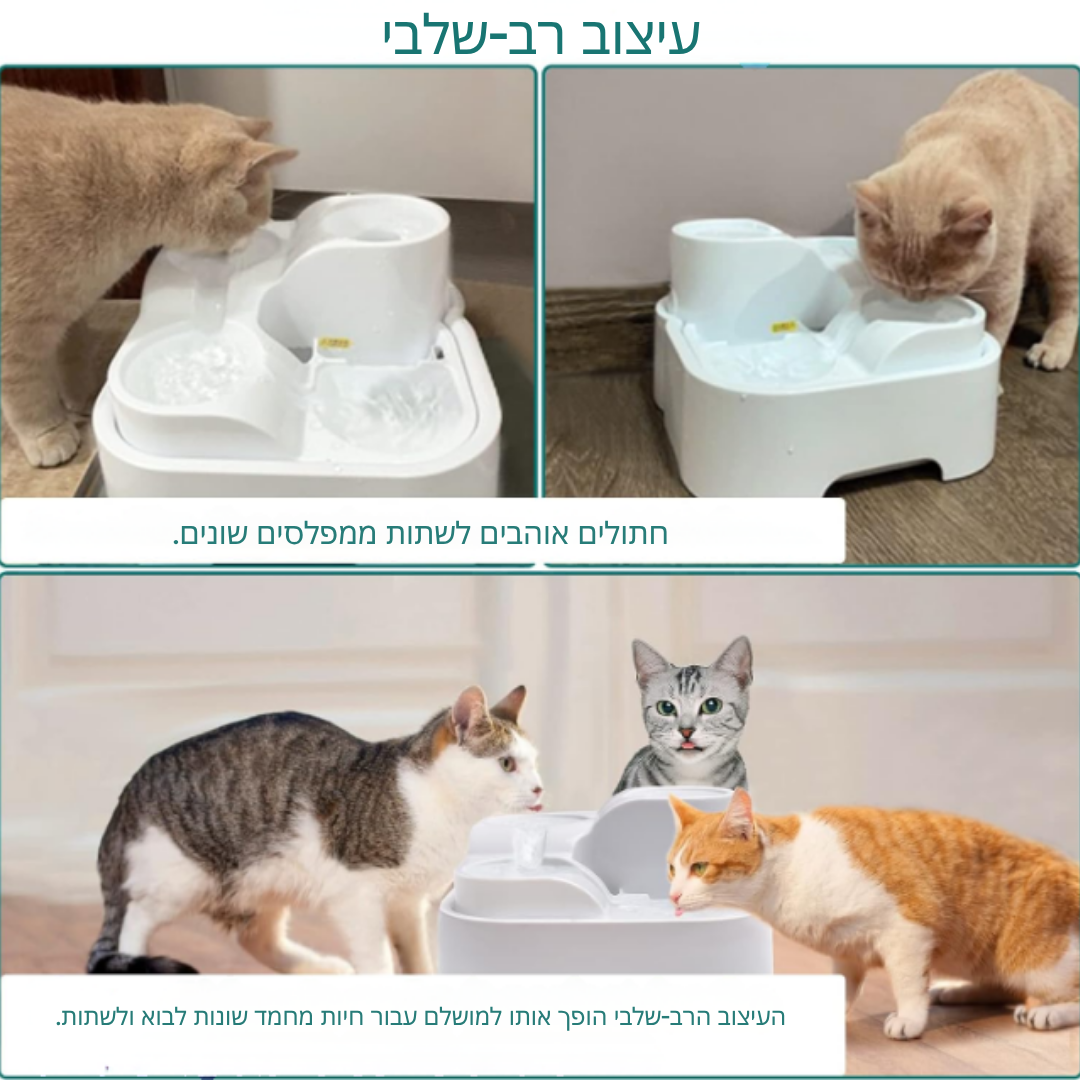 ™Mewara | מזרקת מים לחתולים 2 ליטר, שקטה במיוחד, תאורת LED, מסנן פחם
