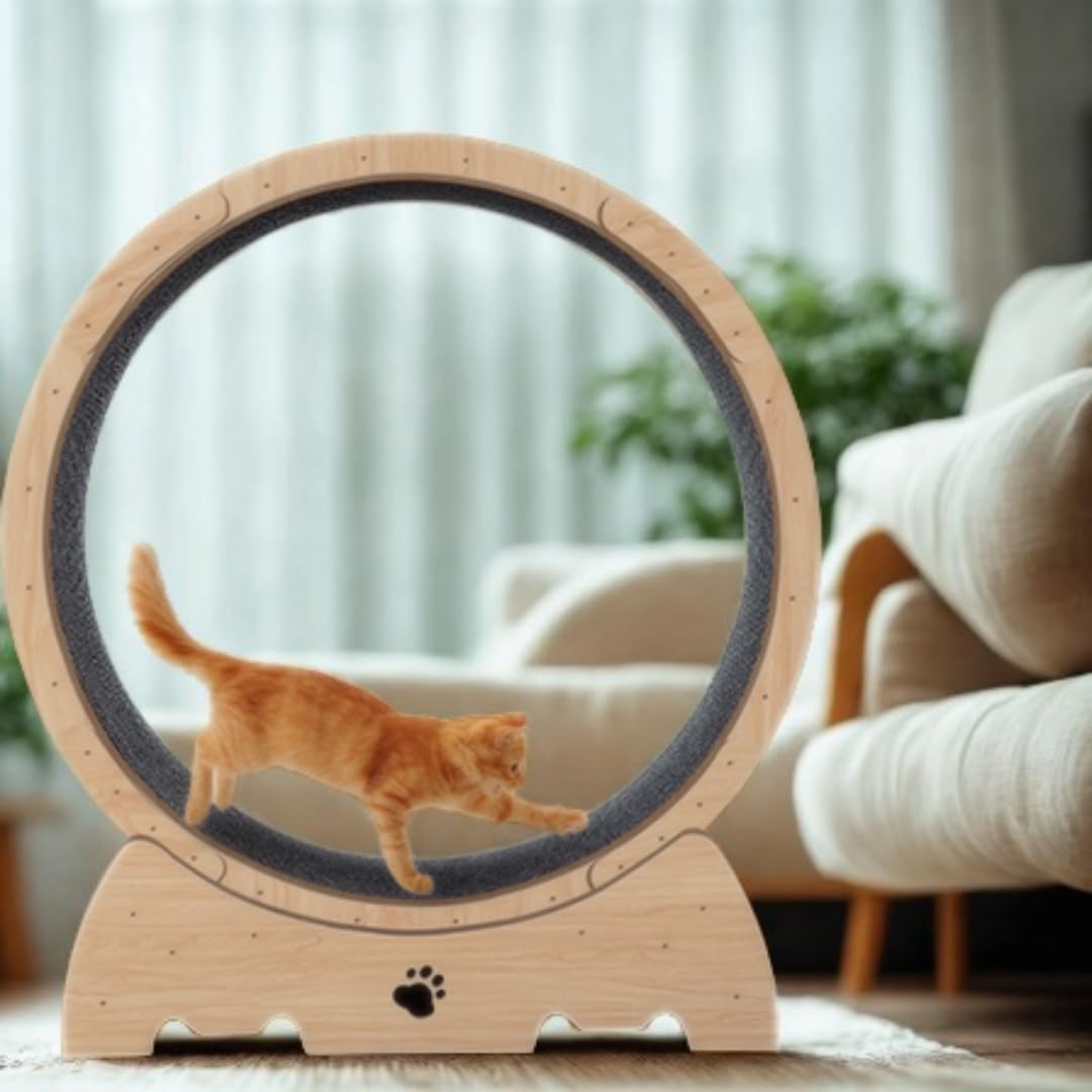 ™Felineo | גלגל פעילות לחתולים פעילים – כושר פנימי, ניהול משקל ומשחק